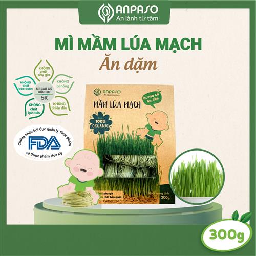 Mì Mầm Lúa Mạch Ăn Dặm Organic Anpaso 300g-duoc-ban-tai-Siêu thị online Nhi Bống